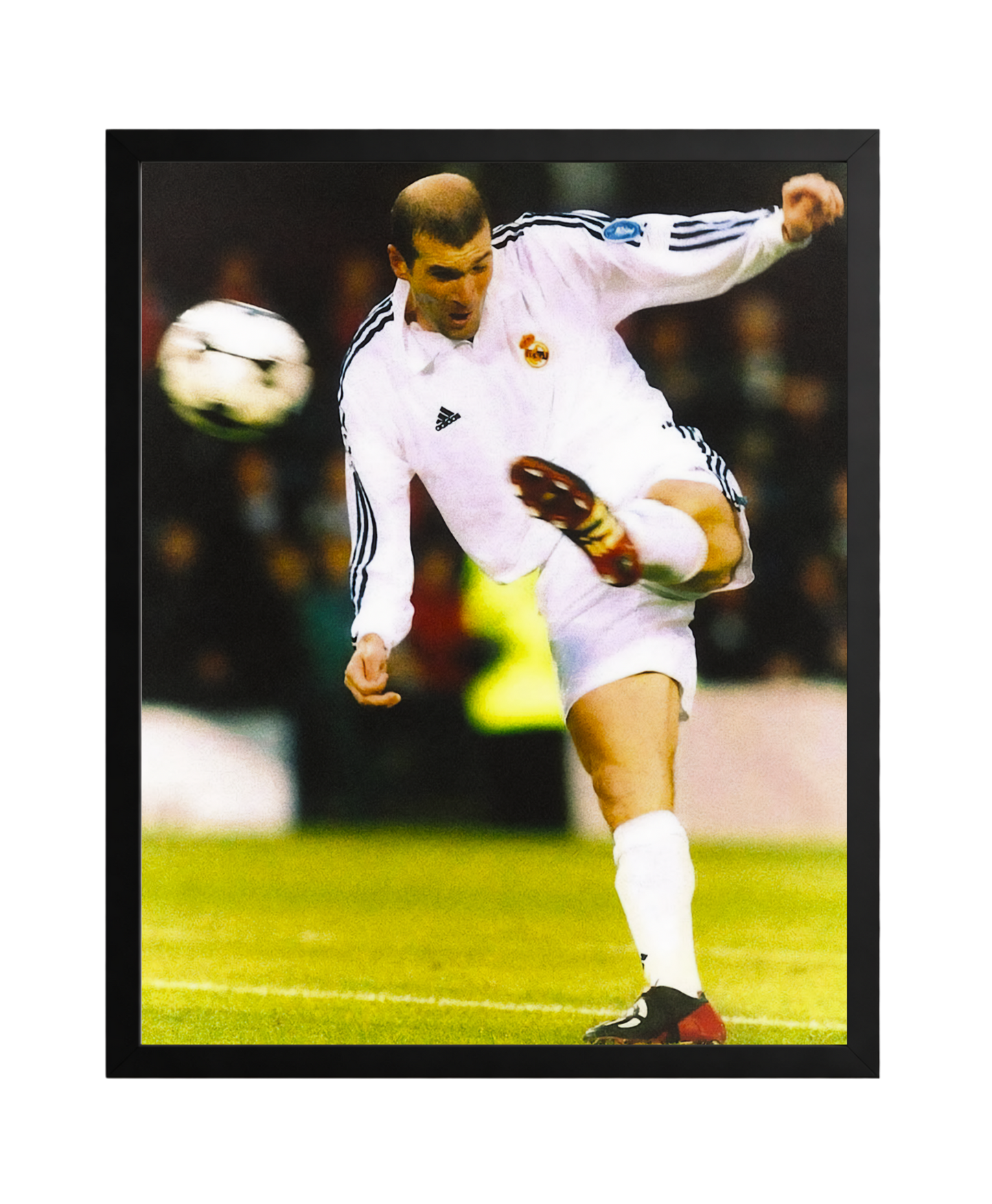 Zidane Print